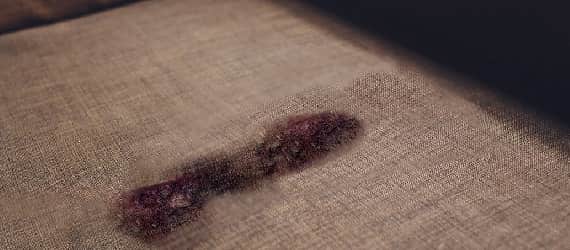 Upholstery Stain Removal