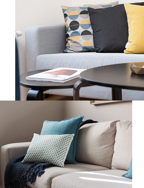 Professional Upholstery Cleaning in Ellenbrook
