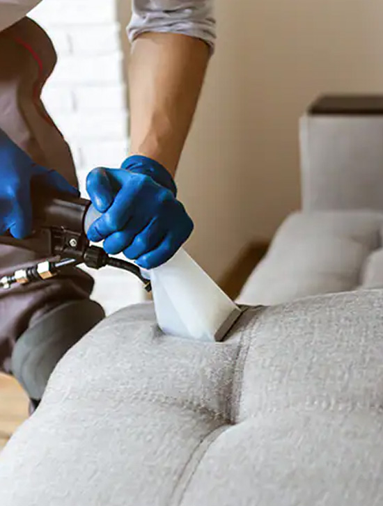 Professioal Upholstery Cleaning in Fremantle