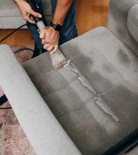 Expert Upholstery Cleaning Wellard