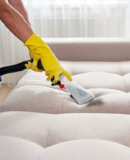Professional Upholstery Cleaning Como Services