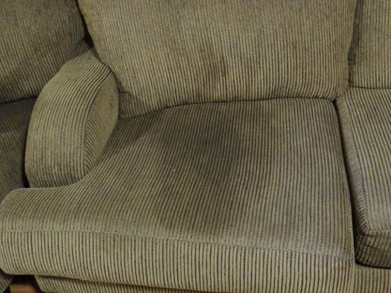 Cleaning dog pee out of store couch cushions